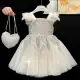 Princess Dress fro Girls in Bangladesh- Best Price — product photo 3 — shop Bangladesh | RADANAN