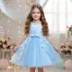 Kids Girl Dress for Wedding Lovely Tutu Dresses for Girls — product photo 2 — shop Bangladesh | RADANAN