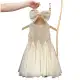 Princess Dress fro Girls in Bangladesh- Best Price — product photo 2 — shop Bangladesh | RADANAN