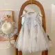 Girls' Dress Summer 2026 New Style Children's Fashionable Mesh Princess Dress Baby Girl Summer Dress — product photo 3 — shop Bangladesh | RADANAN