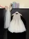 Princess Dress fro Girls in Bangladesh- Best Price — product photo 6 — shop Bangladesh | RADANAN