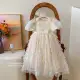 Girls' Princess Dress Summer Dress 2026 New Style Cake Dress Mesh Dress