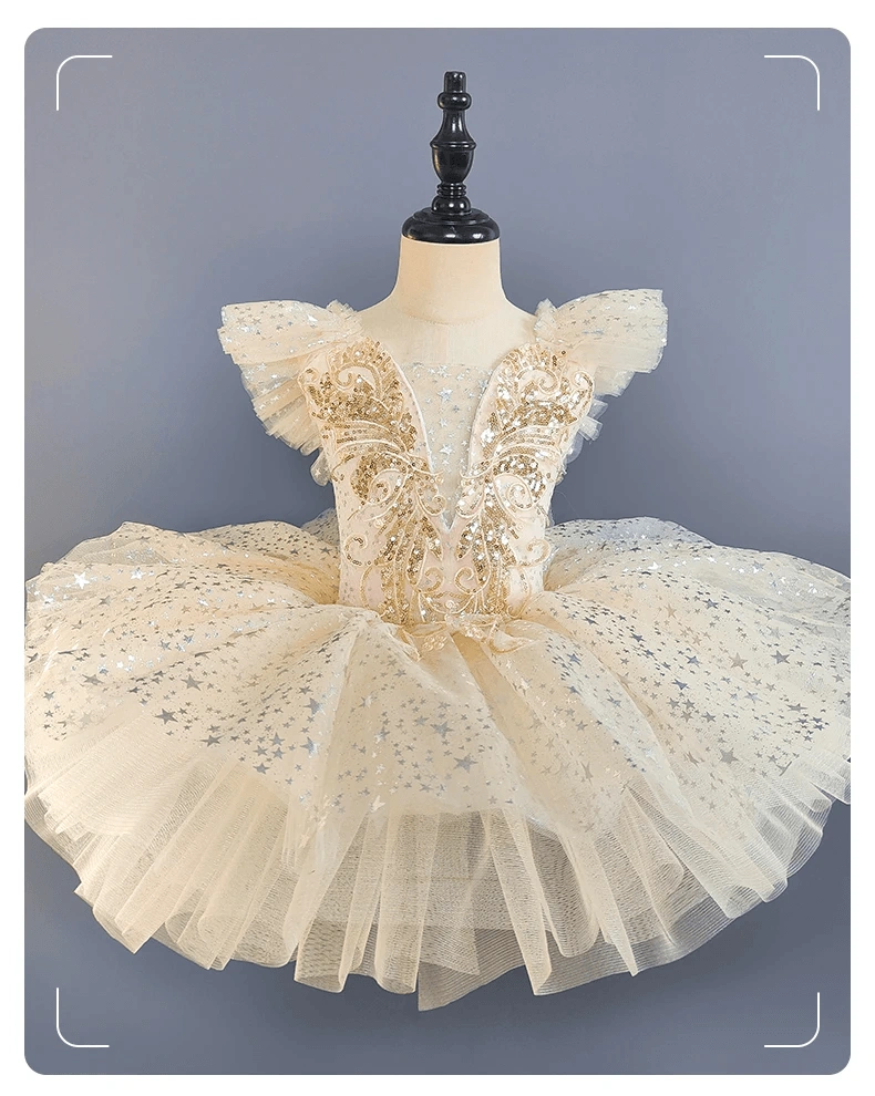 Girls Ballet Dance Dress Baby Princess Party Costume Toddler Pettiskirt Dress — product photo 3 — shop Bangladesh | RADANAN